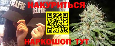 прущие грибы Анапа