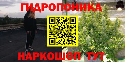 прущие грибы Анапа