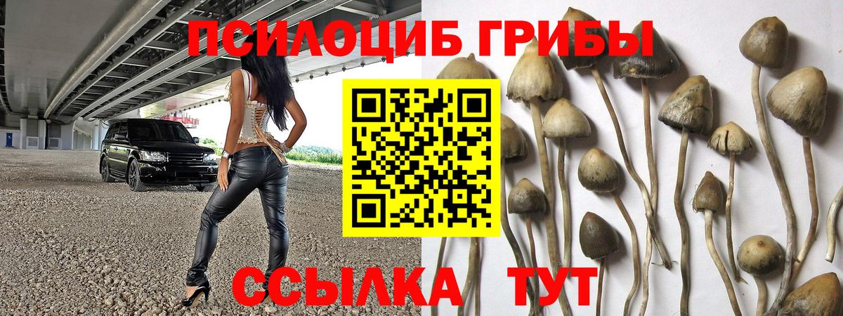 Галлюциногенные грибы ЛСД  Вход с VPN  Янаул 